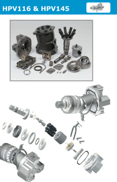 HPV116 & HPV145